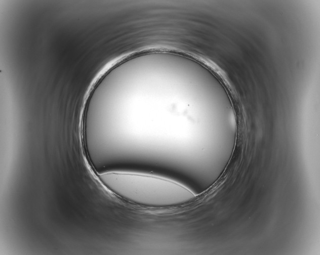 X0000086231199200703290937