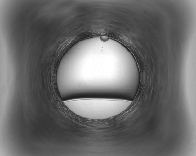 X0000086231201200703290936