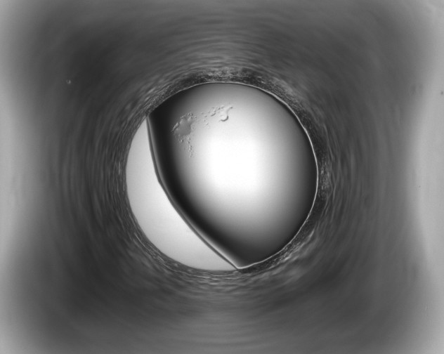 X0000086231202200703290936