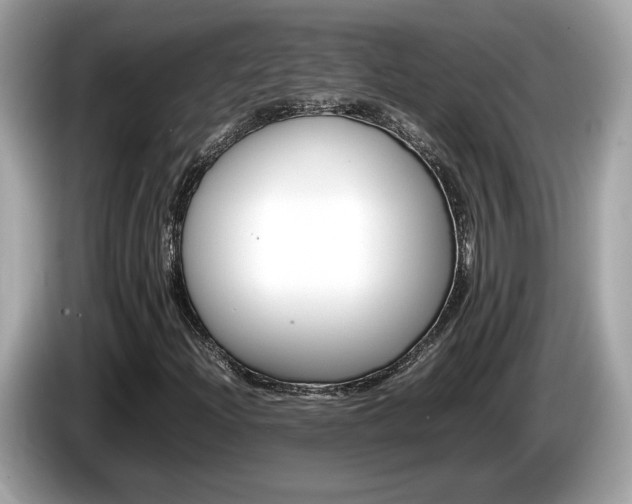 X0000086231204200703290936