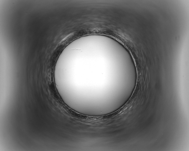 X0000086231205200703290936