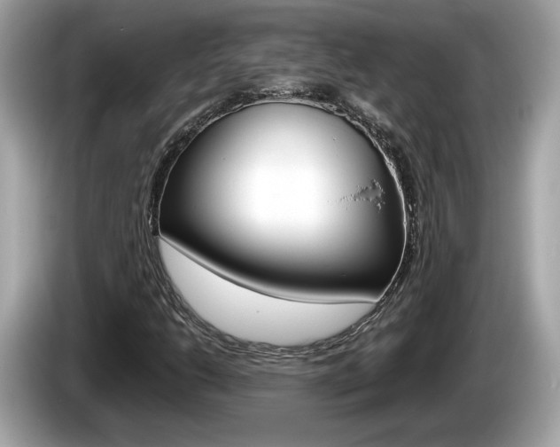 X0000086231206200703290936