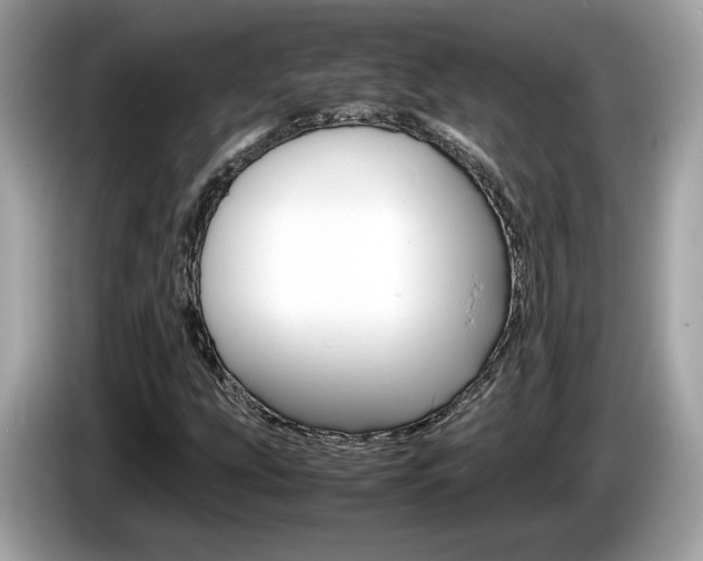 X0000086231207200703290936