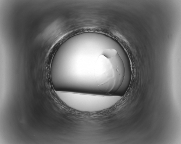 X0000086231208200703290936