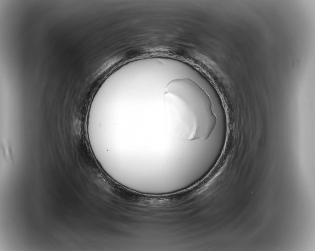 X0000086231209200703290936