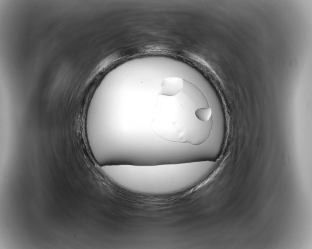 X0000086231211200703290936