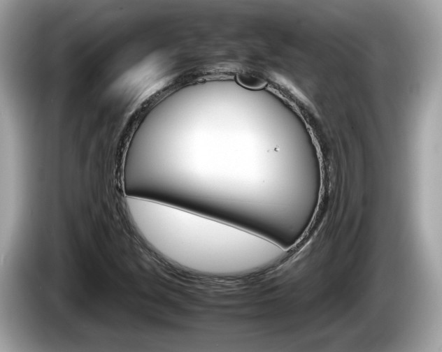 X0000086231213200703290936