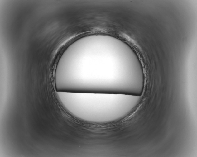 X0000086231215200703290936