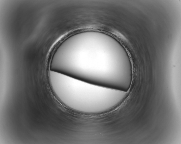 X0000086231216200703290936