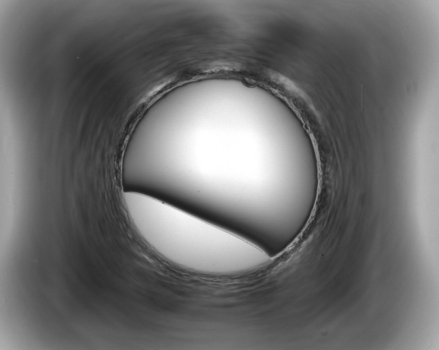 X0000086231217200703290936