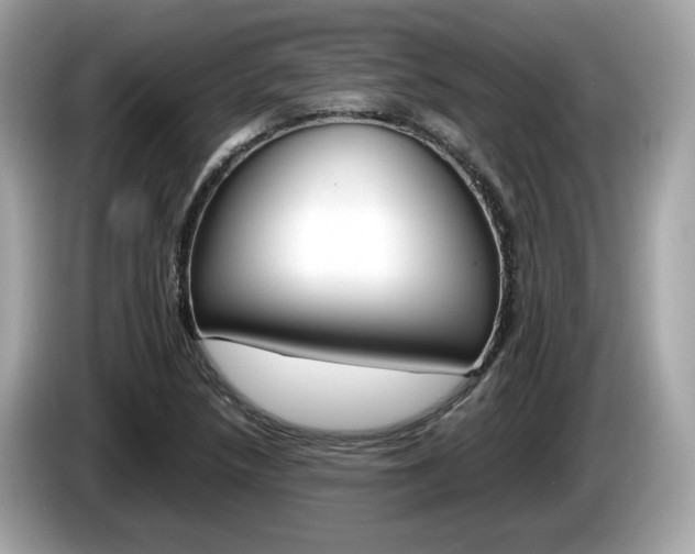 X0000086231218200703290936