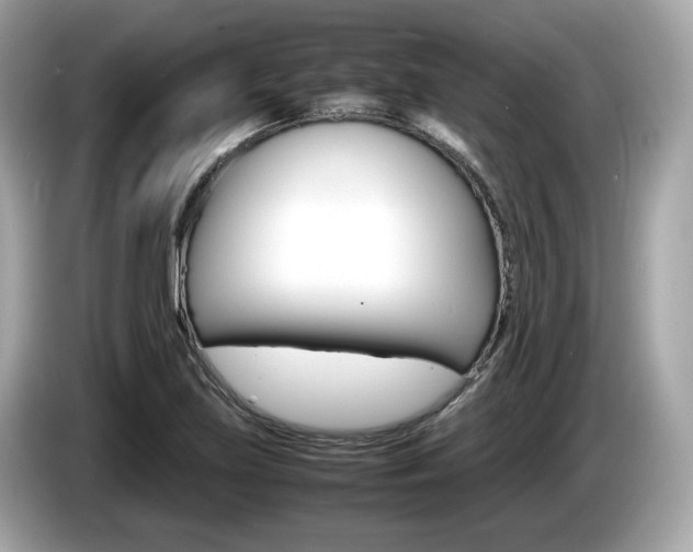 X0000086231219200703290936