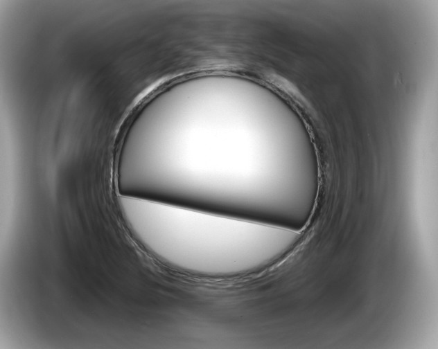 X0000086231220200703290936