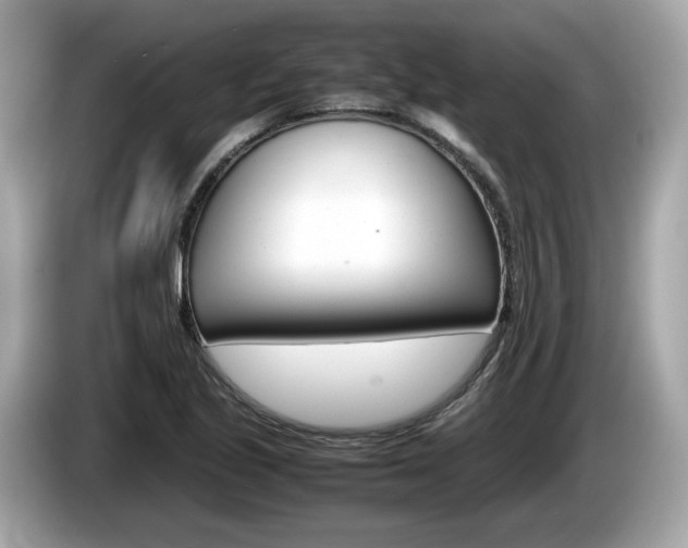 X0000086231221200703290936