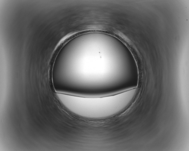 X0000086231222200703290936