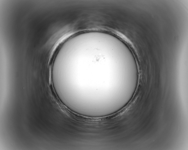 X0000086231223200703290936