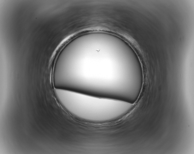 X0000086231224200703290936