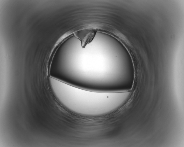 X0000086231226200703290936