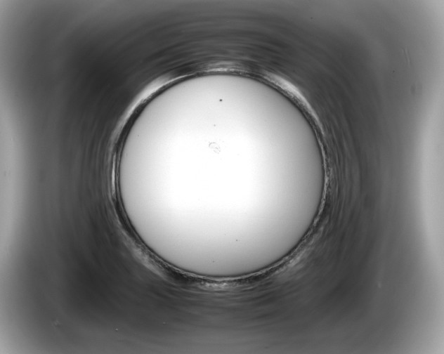 X0000086231227200703290936