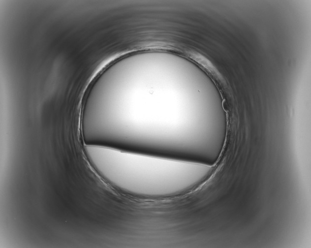 X0000086231228200703290936