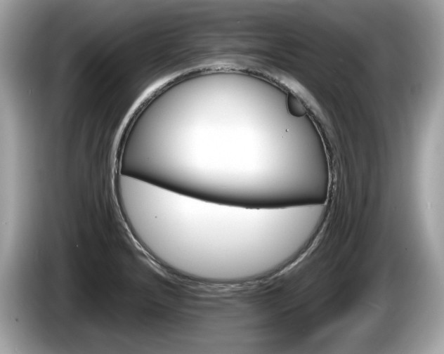 X0000086231232200703290936
