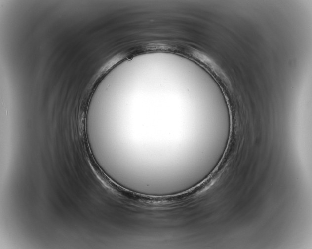 X0000086231233200703290936
