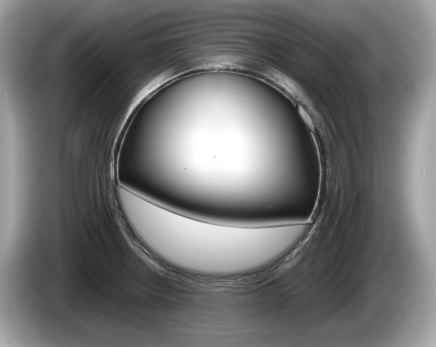 X0000086231234200703290936