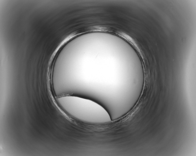 X0000086231235200703290936