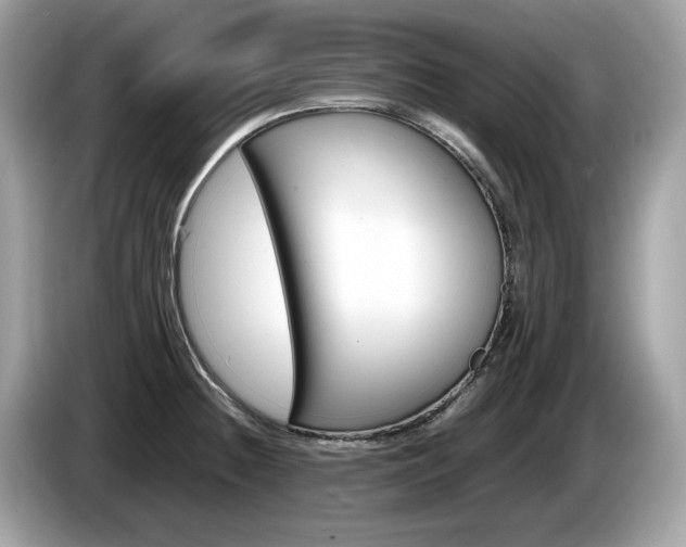 X0000086231236200703290936