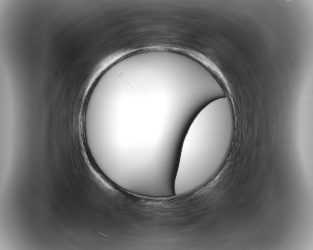 X0000086231239200703290936