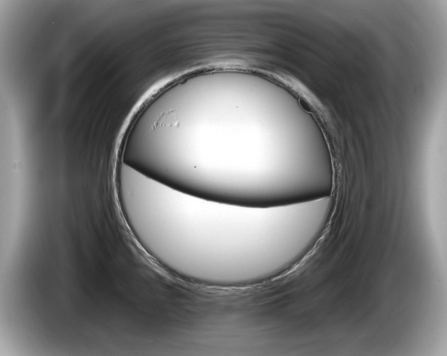 X0000086231240200703290936