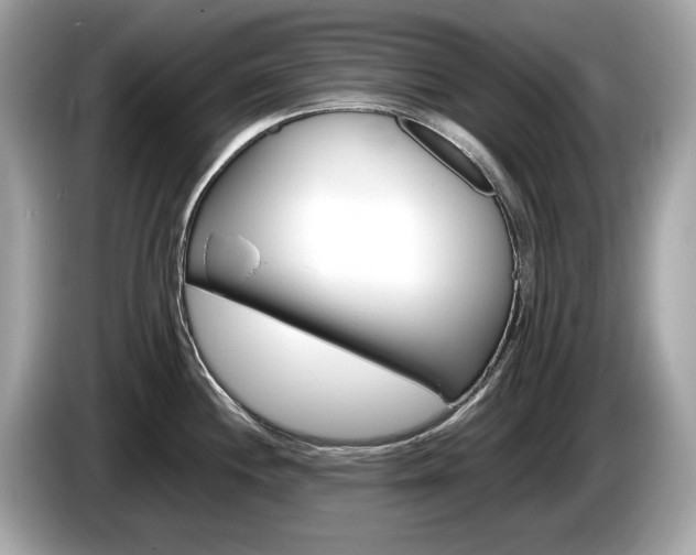 X0000086231244200703290937