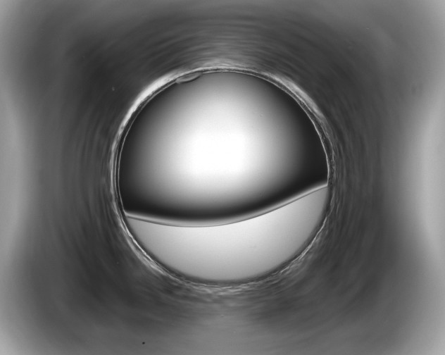 X0000086231246200703290937