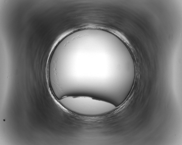 X0000086231247200703290937