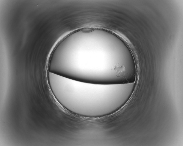 X0000086231248200703290937