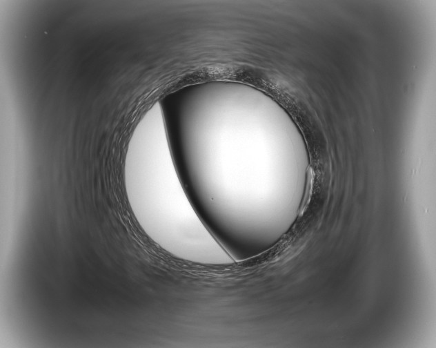 X0000086231249200703290936