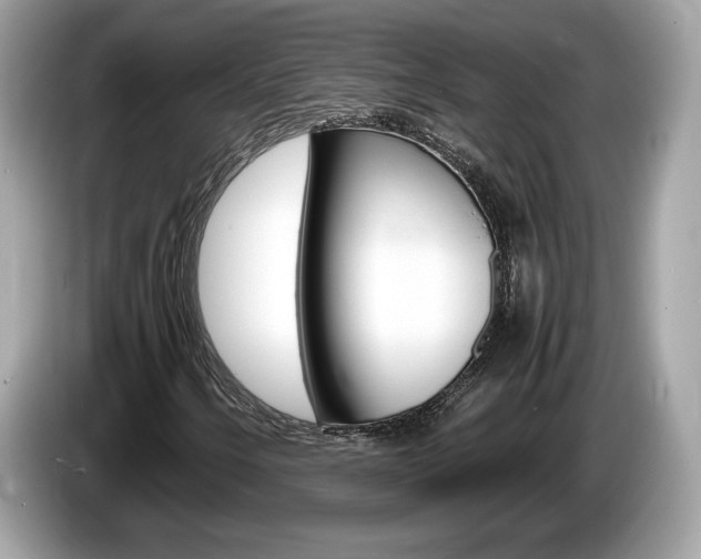 X0000086231250200703290936