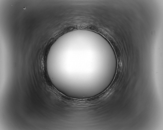 X0000086231252200703290936