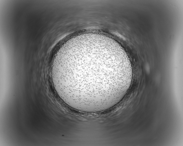 X0000086231255200703290936