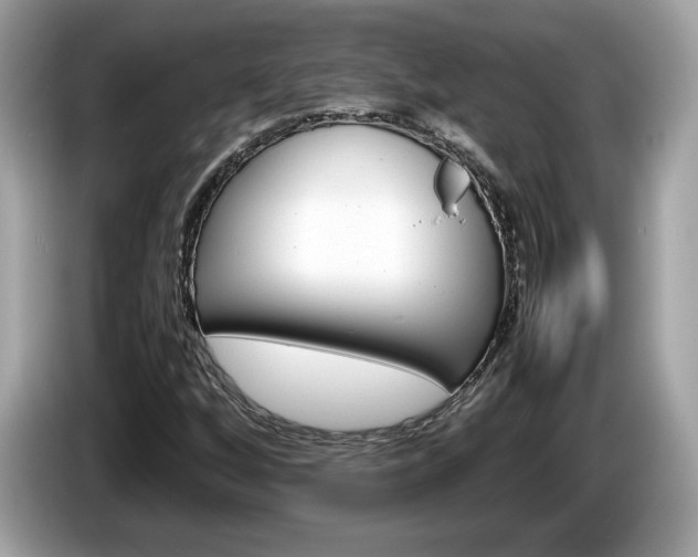 X0000086231256200703290936