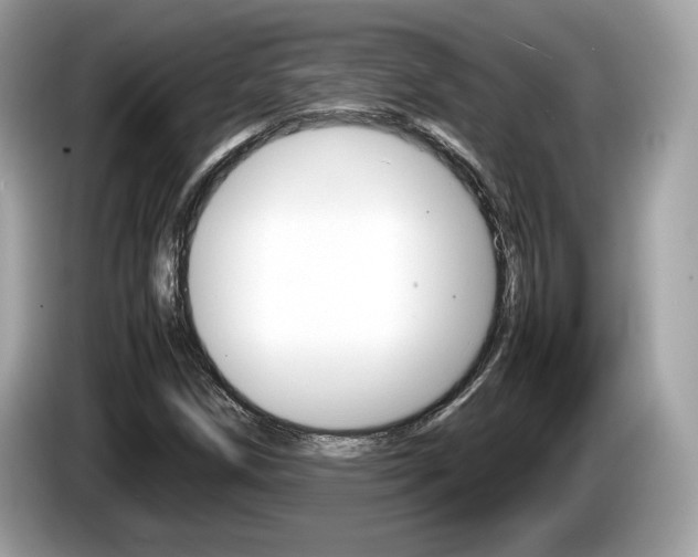 X0000086231258200703290936