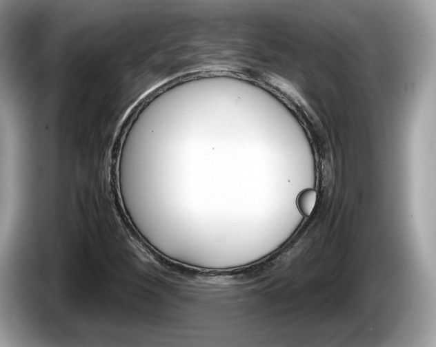 X0000086231260200703290936