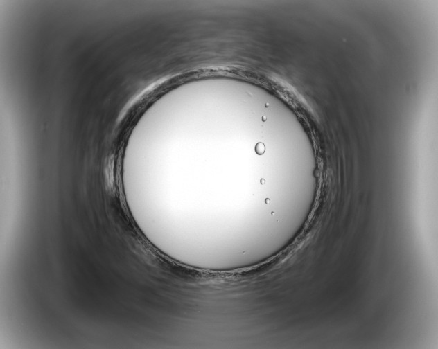 X0000086231262200703290936
