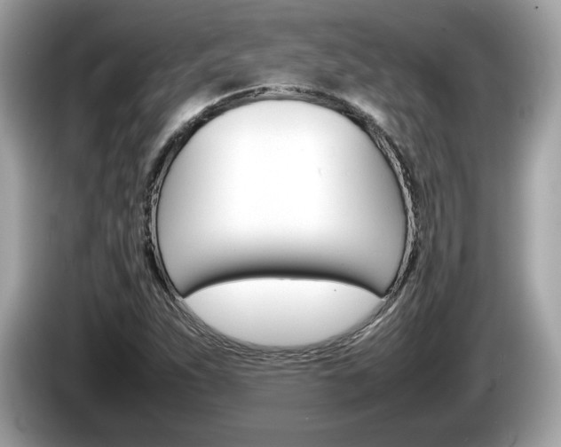 X0000086231263200703290936
