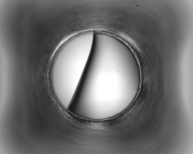X0000086231264200703290936