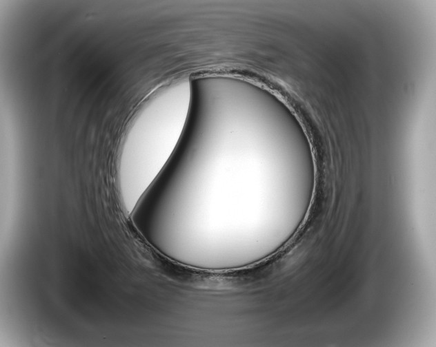 X0000086231265200703290936
