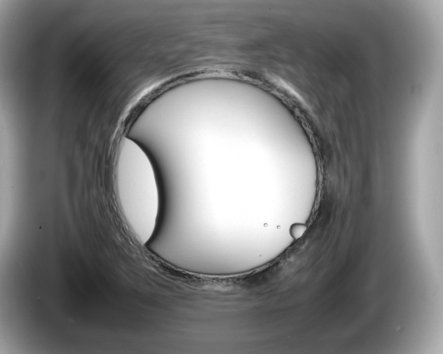 X0000086231267200703290936