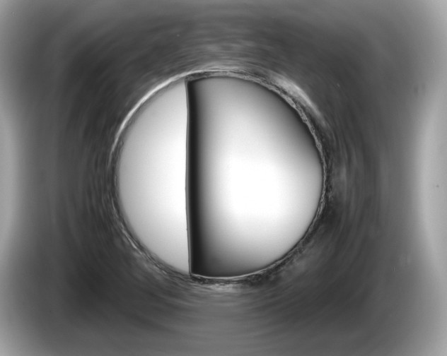X0000086231268200703290936