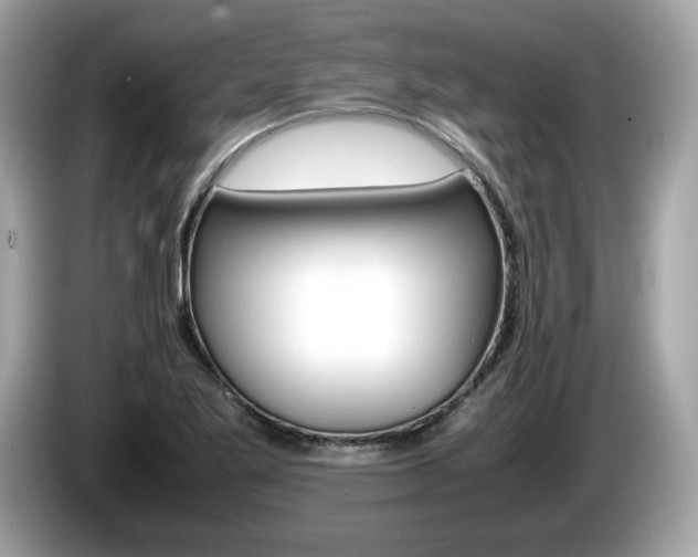 X0000086231269200703290936