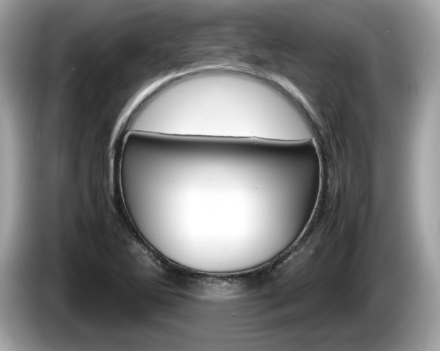 X0000086231270200703290936